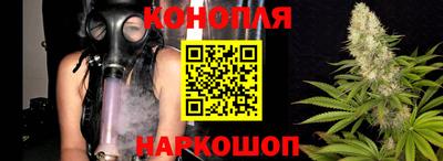 гидра Кимры