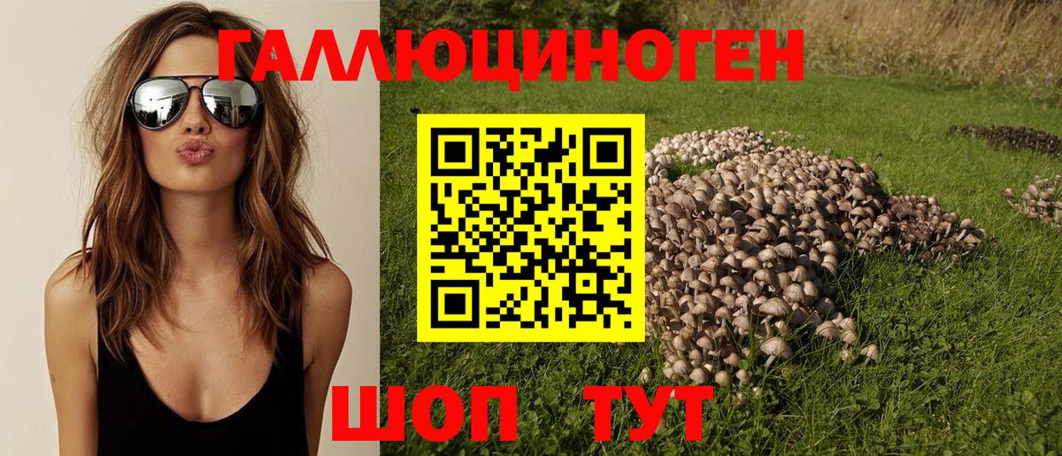 Котельники  Псилоцибиновые грибы Magic Shrooms  цены наркотик  Вход с VPN 